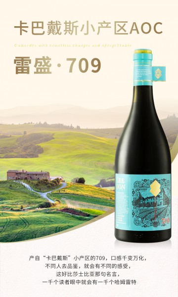 雷盛红酒709法国干红葡萄酒