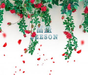 雷盛527法国贵腐甜白葡萄酒