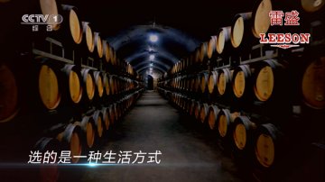 央视1台雷盛红酒广告